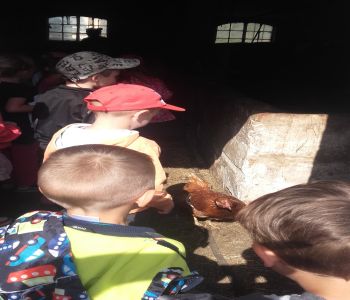 Wizyta przedszkolaków w gospodarstwie rolnym zdjecie 0